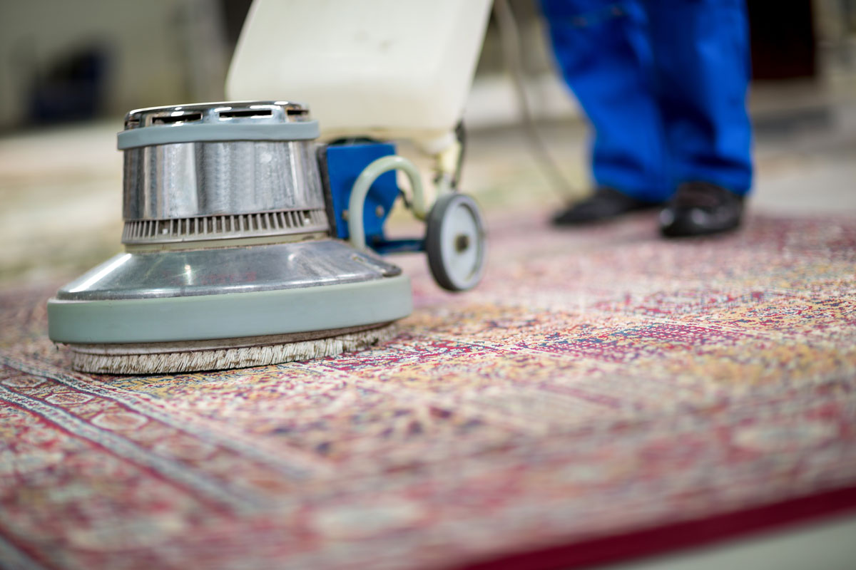 Kilim Yıkama